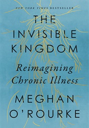 The Invisible Kingdom (Meghan O'Rourke)