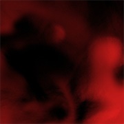 $NOT - Beautiful Havoc