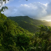 El Yunque National Forest