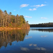 Walden Pond: Concord, MA.