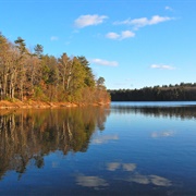 Walden Pond: Concord, MA.