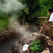 Savusavu Hot Springs & Flora Tropica Gardens, Fiji