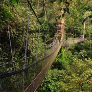Mulu Skywalk