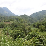 Qiongzhong Li and Miao Autonomous County