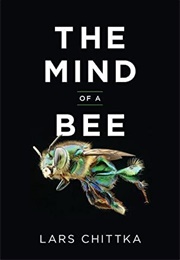 The Mind of a Bee (Lars Chittka)