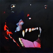 O Cão De Toda Noite (Maquinas, 2019)