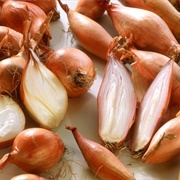 Shallots