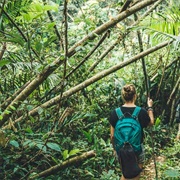 Nam Ha National Protected Area