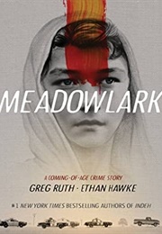 Meadowlark: A Coming-Of-Age Crime Story (Ethan Hawke, Greg Ruth)