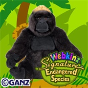 Signature Endangered Western Lowland Gorilla
