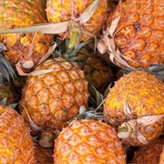 Ananas Dos Acores