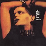 Rock 'N' Roll Animal - Lou Reed