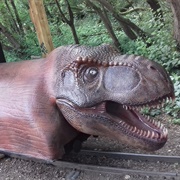 Rex Express, Paradise Wildlife Park