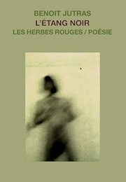 L'étang Noir (Benoît Jutras)