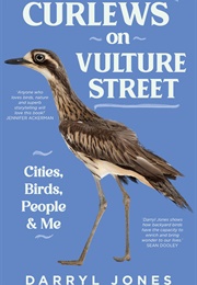 Curlews on Vulture Street (Darryl Jones)