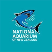 National Aquarium of New Zealand
