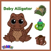 Baby Alligator