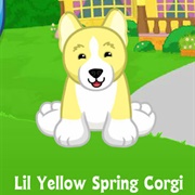 Lil Yellow Spring Corgi