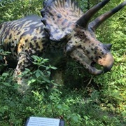 Backyard Terrors and Dinosaur Park, Tennessee