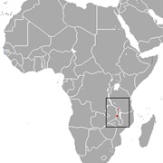 Ansell's Epauletted Fruit Bat