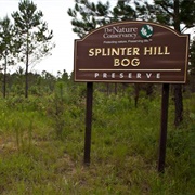 Splinter Hill Bog