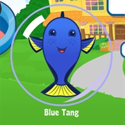 Blue Tang