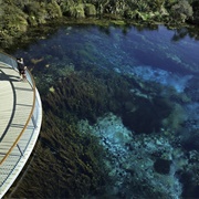 Rotomairewhenua (Blue Lake), New Zealand
