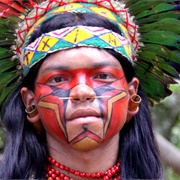 South American Native Culture