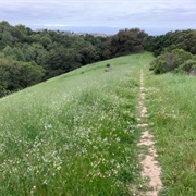 Five Canyons Open Space