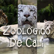 Zoologico De Cali, Colombia
