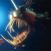 The Anglerfish (Finding Nemo)
