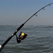 Fishing Pole