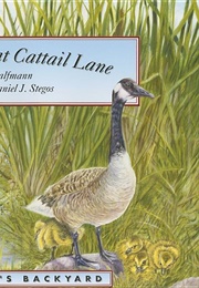 Canada Goose at Cattail Lane (Janet Halfmann)