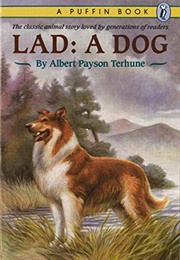 Lad: A Dog (Albert Payson Terhune)