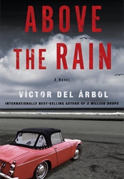 Above the Rain (Victor Del Arbol)