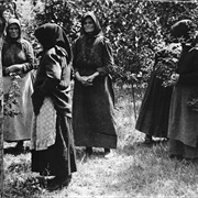 Angel Makers of Nagyrév