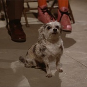 Speck (Pee-Wee's Big Adventure, 1985)