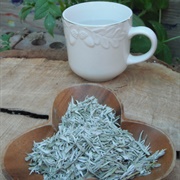 Sagebrush Tea