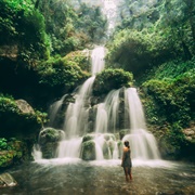 Santa Fe National Park, Panama
