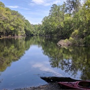 River Rise Preserve State Park