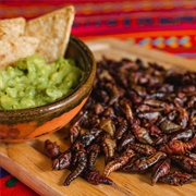 Guacamole Con Chapulines