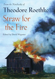 Straw for the Fire: From the Notebooks of Theodore Roethke (Theodore Roethke)