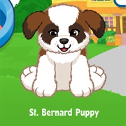 St. Bernard Puppy
