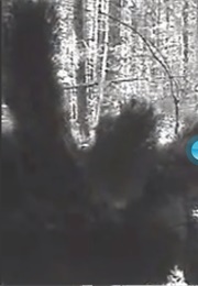 Atom Age Spider (2004)