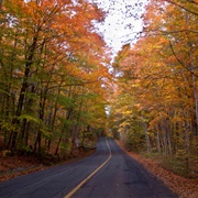 Drive Through the Country