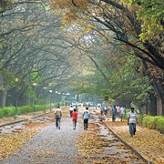 Cubbon Park