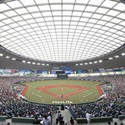 Belluna Dome, Saitama