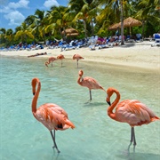 Aruba, Bonaire & Curaçao, the Netherlands