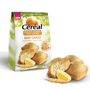 Mini Cakes Citroensmaak