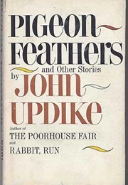 Pigeon Feathers (John Updike)